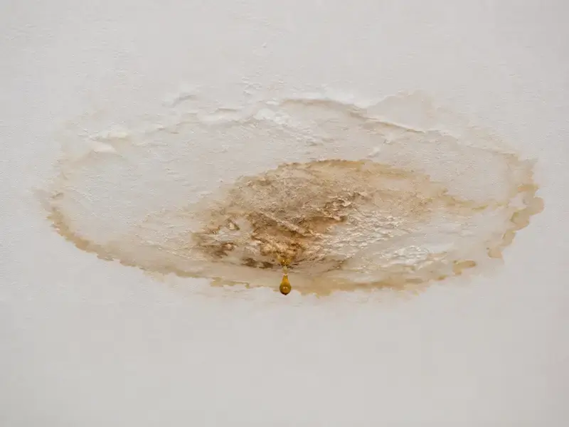 Leak Solutions services in Henderson, NC
