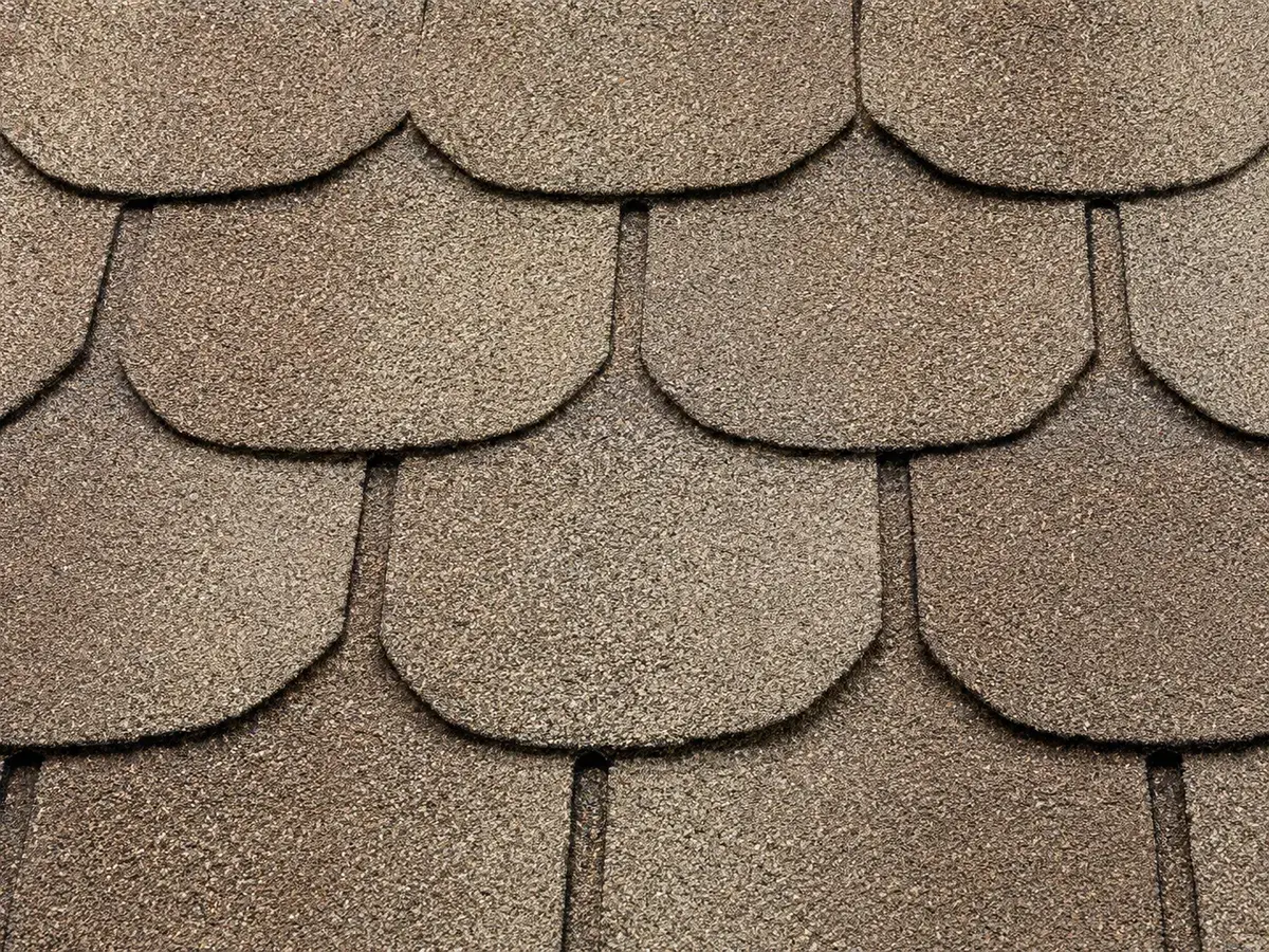 Designer/Luxury Shingles sample in Raleigh NC
